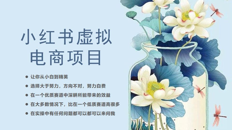 小红书虚拟电商从0到1，让你从小白到精英（20节实操课程）-科景网创