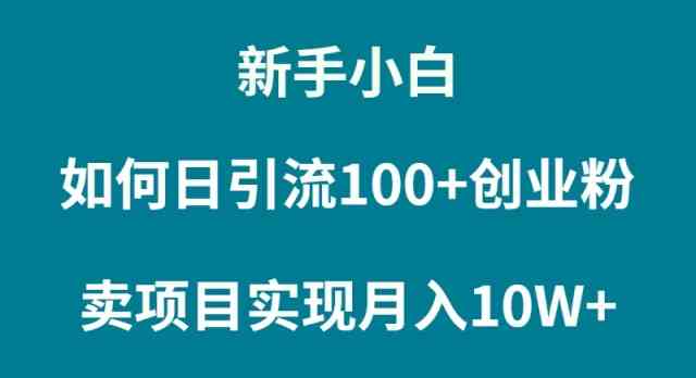 新手小白如何通过卖项目实现月入10W+-科景网创