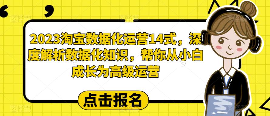 2023淘宝数据化-运营 14式，深度解析数据化知识，帮你从小白成长为高级运营-科景网创