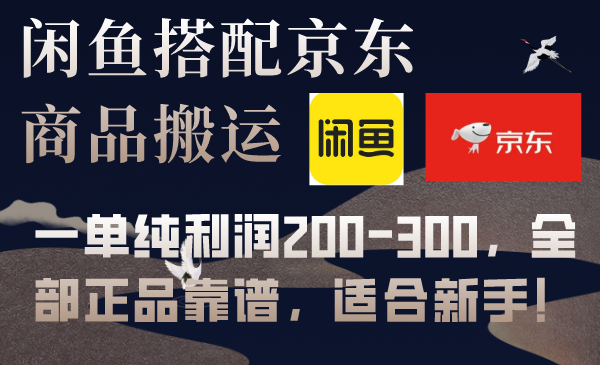 闲鱼搭配京东备份库搬运，一单纯利润200-300，全部正品靠谱，适合新手！-科景网创