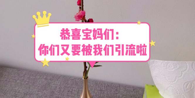 恭喜宝妈们：你们又要被我们引流了（教程+222g资料）-科景网创