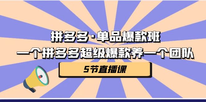 拼多多·单品爆款班，一个拼多多超级爆款养一个团队（5节直播课）-科景网创