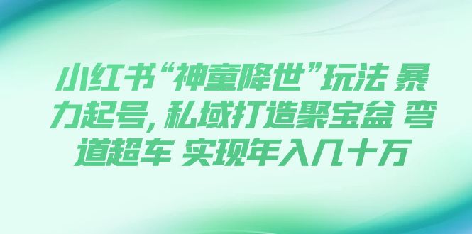 小红书“神童降世”玩法 暴力起号,私域打造聚宝盆 弯道超车 实现年入几十万-科景网创