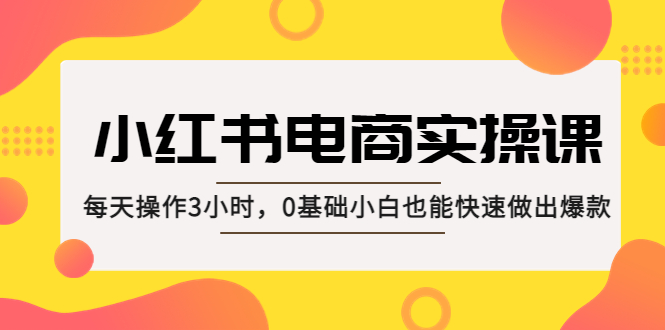 小红书·电商实操课：每天操作3小时，0基础小白也能快速做出爆款！-科景网创