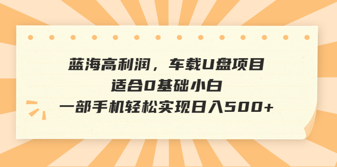 蓝海高利润，车载U盘项目，适合0基础小白，一部手机轻松实现日入500+-科景网创