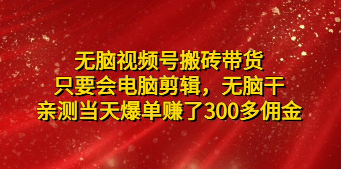 无脑视频号搬砖带货，只要会电脑剪辑，无脑干，亲测当天爆单赚了300多佣金-科景网创