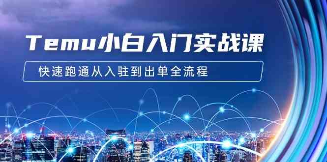 Temu小白入门实战课：跨境拼多多电商培训 快速跑通从入驻到出单全流程-12节-科景网创