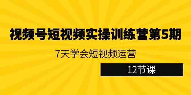 视频号短视频实操训练营第5期：7天学会短视频运营（12节课）-科景网创