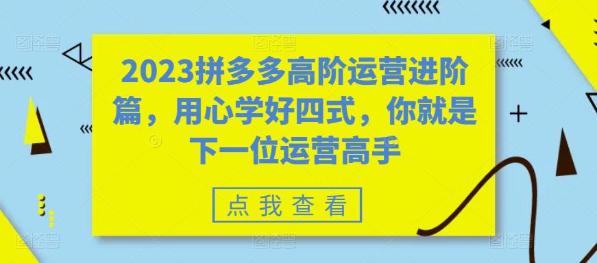 2023拼多多高阶运营进阶篇，用心学好四式，你就是下一位运营高手-科景网创