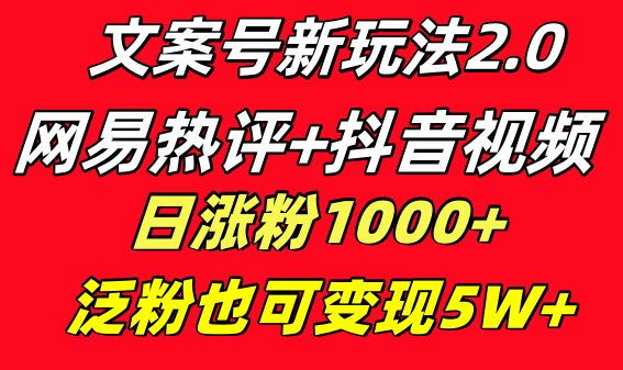 文案号新玩法 网易热评+抖音文案 一天涨粉1000+ 多种变现模式 泛粉也可变现-科景网创