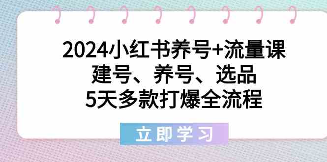 2024小红书养号+流量课：建号、养号、选品，5天多款打爆全流程-科景网创
