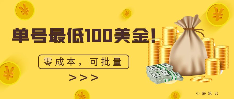 单号最低100美金，零成本，小白无脑操作。可复制，可扩大。-科景网创