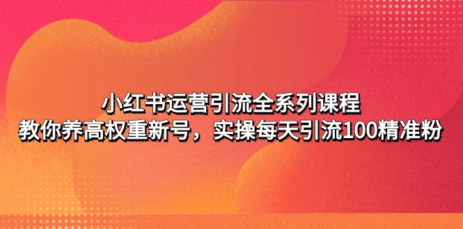 小红书运营引流全系列课程：教你养高权重新号，实操每天引流100精准粉-科景网创
