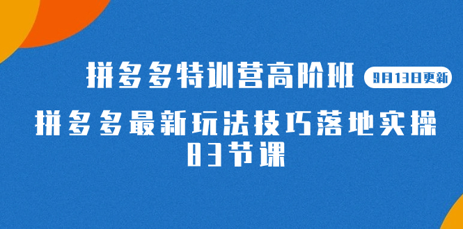 2023拼多多·特训营高阶班【9月13日更新】拼多多最新玩法技巧落地实操-83节-科景网创