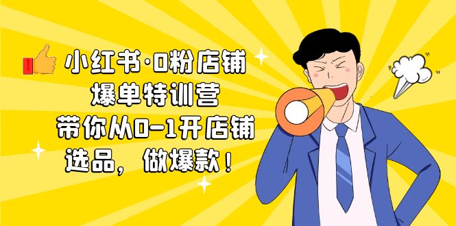 小红书·0粉店铺爆单特训营 带你从0-1开店铺，选品，做爆款（课程+工具包）-科景网创