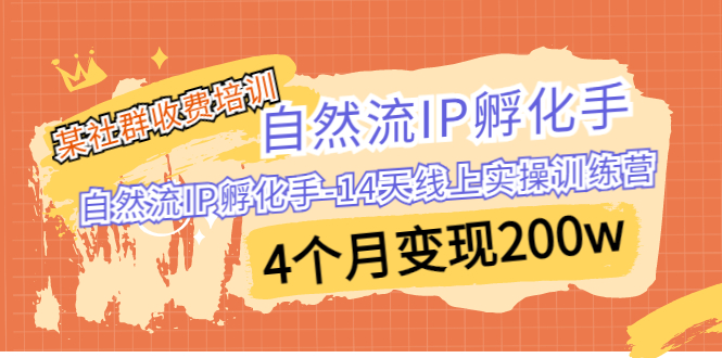 某社群收费培训：自然流IP 孵化手-14天线上实操训练营 4个月变现200w-科景网创