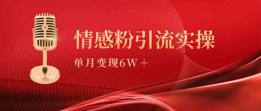 单月变现6w+，情感粉引流变现实操课-科景网创