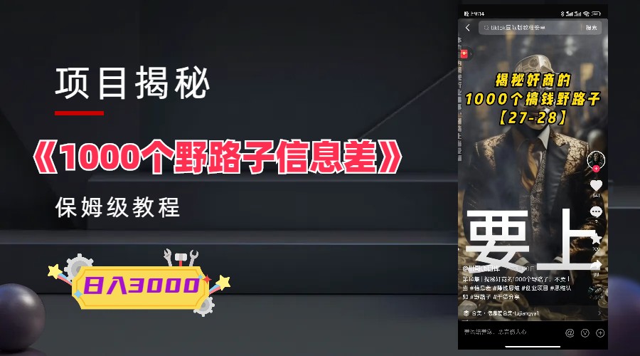 1000个野路子信息差保姆式教程-单日变现3000+的玩法解密-科景网创