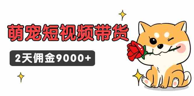 东哲日记·萌宠短视频带货，2天佣金9000+-科景网创