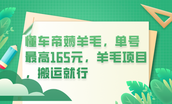 懂车帝薅羊毛，单号最高165元，羊毛项目，搬运就行-科景网创