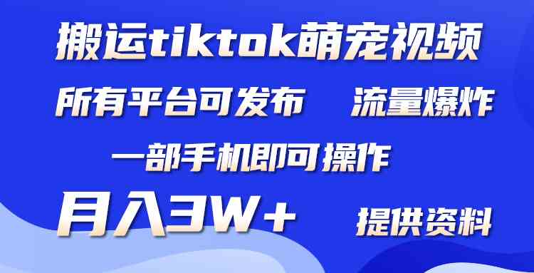 搬运Tiktok萌宠类视频，一部手机即可。所有短视频平台均可操作，月入3W+-科景网创