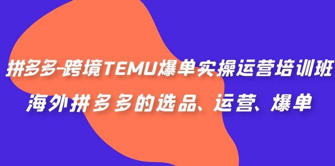 拼多多-跨境TEMU爆单实操运营培训班，海外拼多多的选品、运营、爆单-科景网创