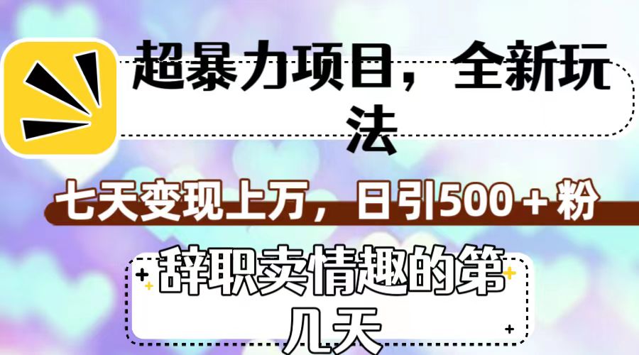 超暴利项目，全新玩法（辞职卖情趣的第几天），七天变现上万，日引500+粉-科景网创