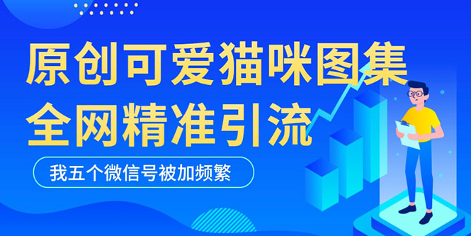 黑科技纯原创可爱猫咪图片，全网精准引流，实操5个VX号被加频繁-科景网创