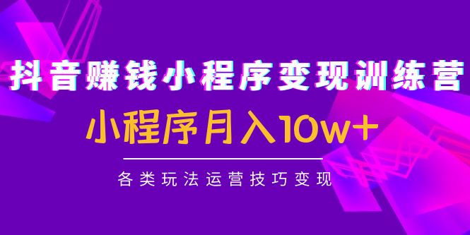 抖音赚钱小程序变现训练营：小程序月入10w+各类玩法运营技巧变现-科景网创