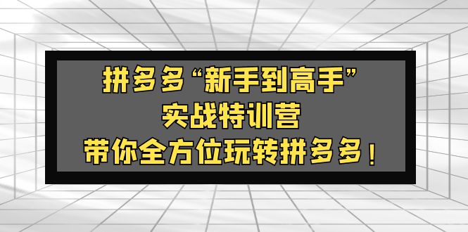 拼多多“新手到高手”实战特训营：带你全方位玩转拼多多！-科景网创