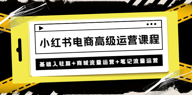 小红书电商高级运营课程：基础入驻篇+商城流量运营+笔记流量运营-科景网创