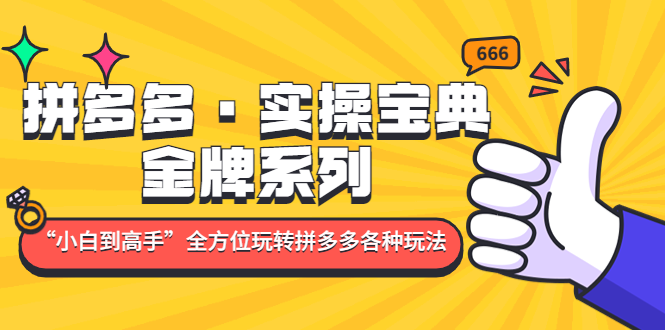 拼多多·实操宝典：金牌系列“小白到高手”带你全方位玩转拼多多各种玩法-科景网创