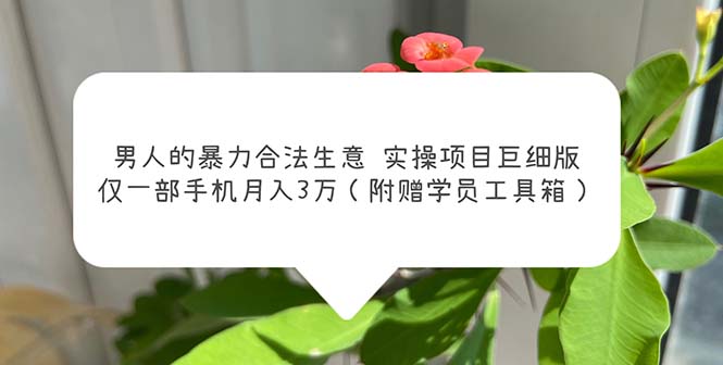 男人的暴力合法生意实操项目巨细版：仅一部手机月入3w（附赠学员工具箱）-科景网创