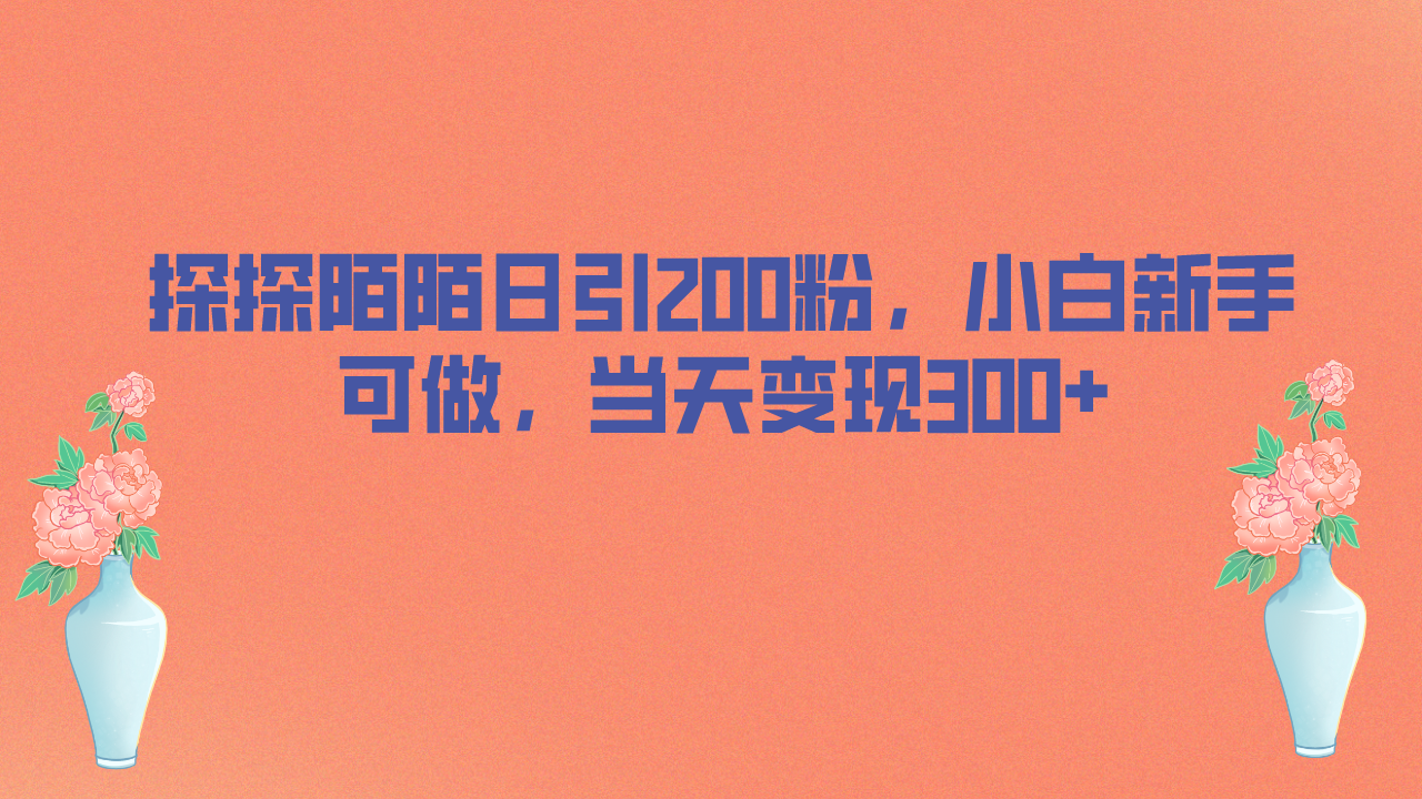 探探陌陌日引200粉，小白新手可做，当天就能变现300+-科景网创