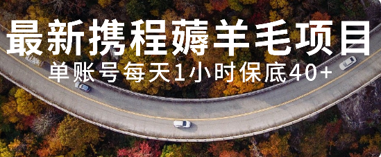 最新携程薅羊毛项目，单账号每天1小时保底收益40+，可矩阵操作-科景网创