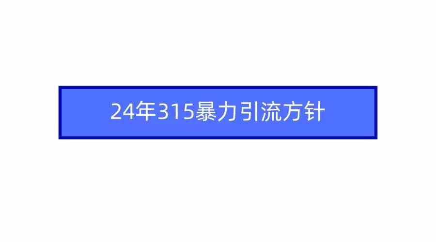 2024年315暴力引流方针-科景网创