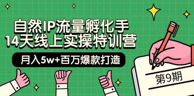 自然IP流量孵化手 14天线上实操特训营【第9期】月入5w+百万爆款打造 (74节)-科景网创