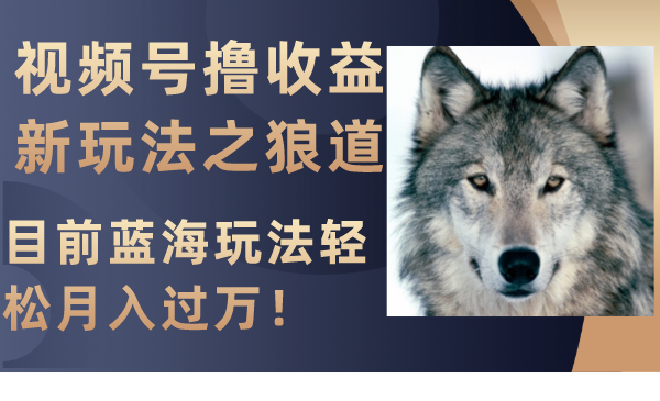 视频号撸收益新玩法之狼道，目前蓝海玩法轻松月入过万！-科景网创