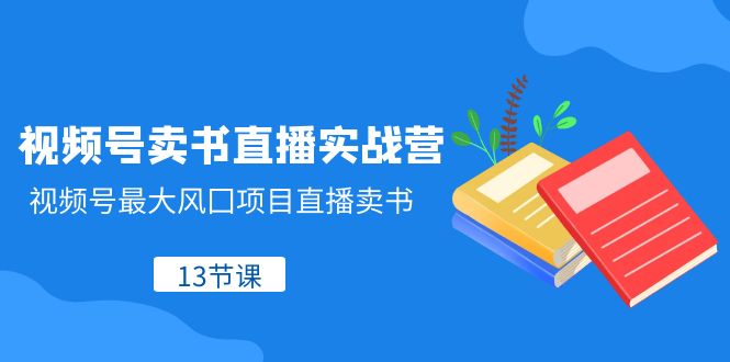 视频号-卖书直播实战营，视频号最大风囗项目直播卖书（13节课）-科景网创