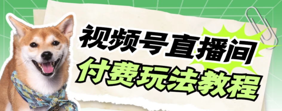 视频号美女付费无人直播，轻松日入500+【详细玩法教程】-科景网创