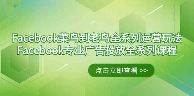 Facebook-菜鸟到老鸟全系列运营玩法+Facebook-专业广告投放全系列课程-科景网创