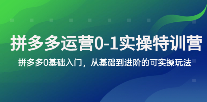 拼多多-运营0-1实操训练营，拼多多0基础入门，从基础到进阶的可实操玩法-科景网创