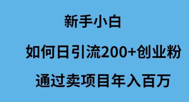 新手小白如何日引流200+创业粉通过卖项目年入百万-科景网创