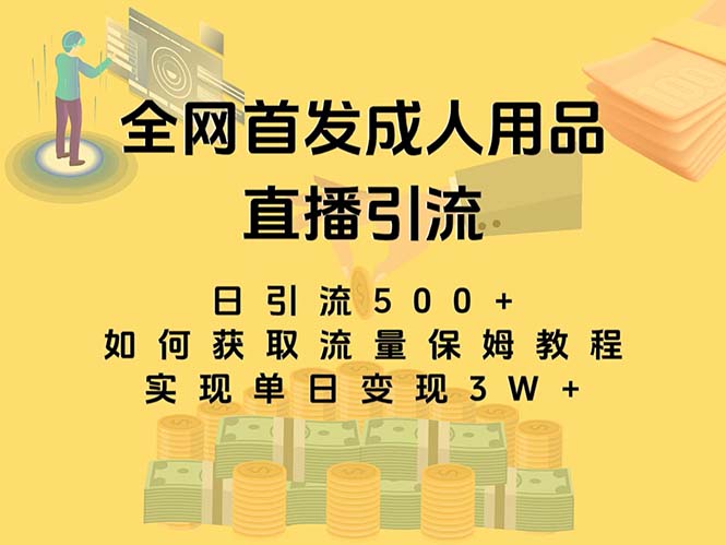 最新全网独创首发，成人用品直播引流获客暴力玩法，单日变现3w保姆级教程-科景网创