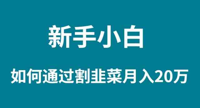 新手小白如何通过割韭菜月入 20W-科景网创