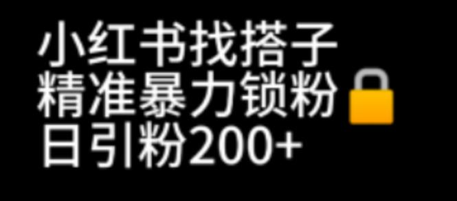 小红书找搭子暴力精准锁粉+引流日引200+精准粉-科景网创