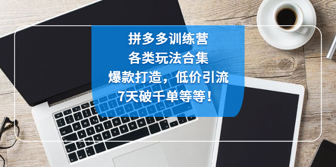 拼多多训练营：各玩法合集，爆款打造，低价引流，7天破千单等等！-科景网创
