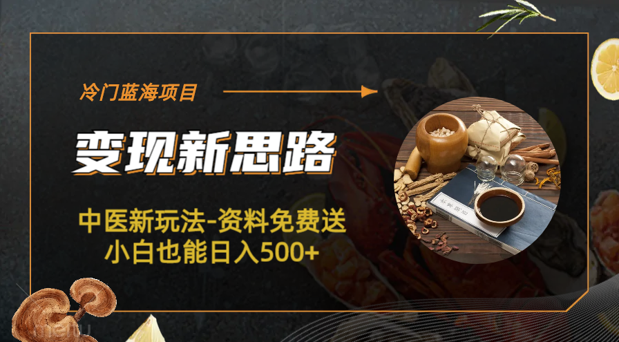 冷门蓝海项目-中医新玩法-资料免费送小白也能日入500+-科景网创