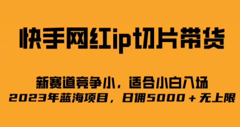 快手网红ip切片新赛道，竞争小事，适合小白  2023蓝海项目-科景网创
