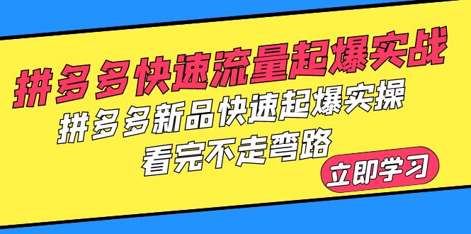 拼多多-快速流量起爆实战，拼多多新品快速起爆实操，看完不走弯路-科景网创